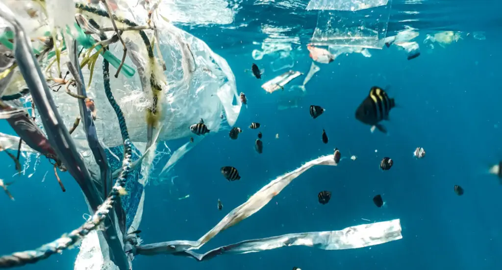 Océan rempli de plastique
