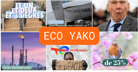 MoHo4Young lauréat - Ecoyako