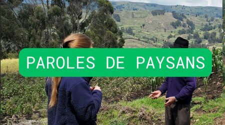 paroles de paysans - moho4young